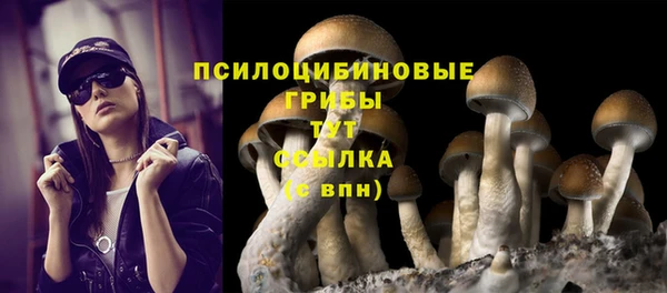прущий лед Алексеевка
