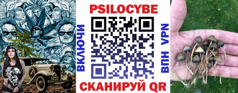 Купить закладки  Курильск  Галлюциногенные грибы мухоморы 